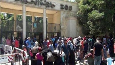 برلماني يستنكر قرار رفع تذاكر  حدائق الحيوان: «غير مسئول»