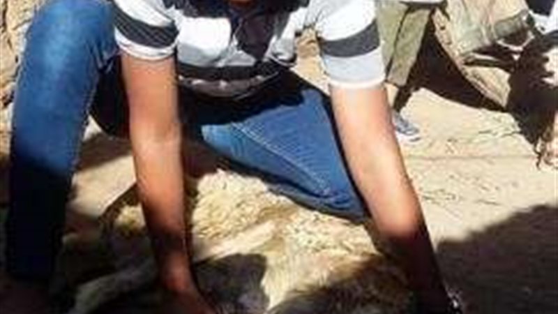 بلدنا اليوم