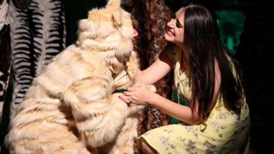 عرض إضافى لـ«القطط» بسبب زيادة الإقبال