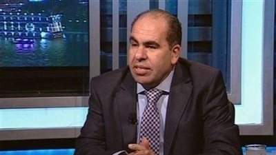 «الهضيبي»: لم يصدر قرار للحصول على تبرعات من شخصيات خارج الوفد