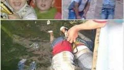 «قطة» تحل لغز مقتل «طفلي الدقهلية»