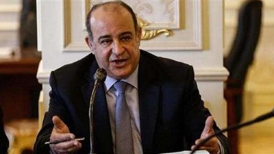 أمين«دعم مصر» عن زيارة الرئيس الفيتنامى للبرلمان: تكمل الشكل الخارجى لمصر