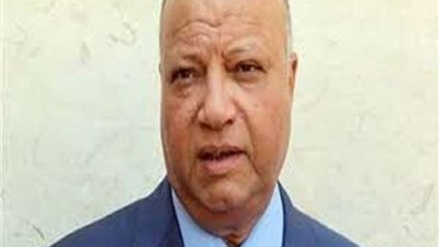 محافظ القاهرة: بدء الاستعداد للاستفتاء على التعديلات الدستورية