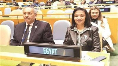 مايا مرسي من نيويورك: التعديلات الدستوية تحمي الأمومة والطفولة