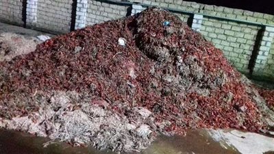 المجزر الآلي بقرية 