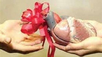 ”صحة البرلمان” تروج لـ”التبرع بالأعضاء بعد الوفاة”