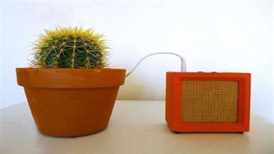 النباتات تحب السلطنة على الألحان الكلاسيكية