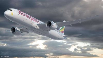 أمريكا: حظرنا طائرة  