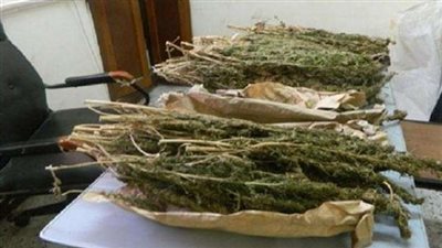 خلال ساعات.. تحديد مصير عاطلين بحوزتهما كيلو مخدر ”فودو”