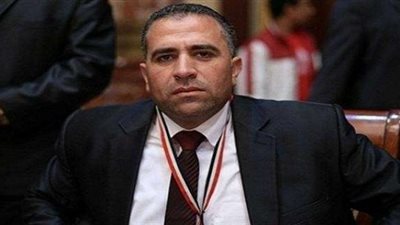 برلمانى عن قانون تجريم إهانة الرموز التاريخية:  يجب صياغته بحرص