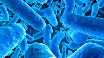 أعراض وأسباب الكوليرا وأبرز ضحاياه