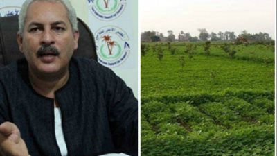 نقيب الفلاحين.. أراضي «الإصلاح الزراعي» الفساد الأكبر في الزراعة