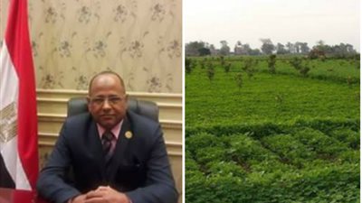 برلماني: قرار «الإصلاح الزراعي» كان يجب أن يُتخذ من فترة كبيرة