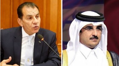 عضو «الشؤون الإفريقية» بالبرلمان: قطر هى عدونا الأول