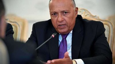 الخارجية المصرية تدين الهجوم الإرهابي على مسجدين في نيوزيلندا