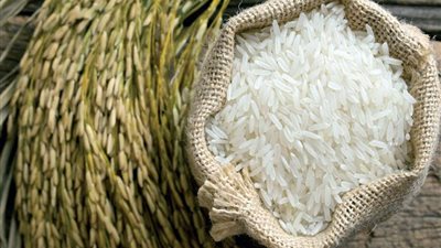 طلب إحاطة لوزير الزراعة لإعفاء الفلاح من غرامات الأرز