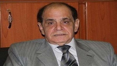 خبير دستوري: رقابة «النواب» على المحافظين غير مباشرة