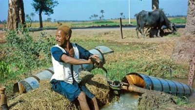 منظمة العمل الدولية: نستهدف تعزيز مشاركة الشباب في الاقتصادات الريفية