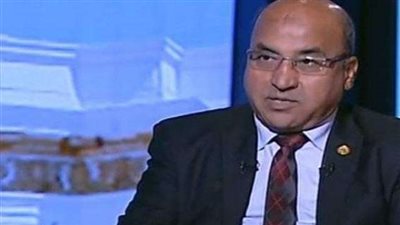 ”القوى العاملة بالبرلمان“: الصعيد جاهز لاستقبال اسثمارات الصين التي وقعها الرئيس