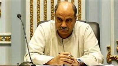 البرلمان: الأراضي المُستصلحة لا تكلف المزارع أي شئ