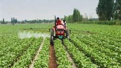 بدء التعاقد على الأراضي المُستصلحة.. ونواب: ”سيفتح باب التصدير“