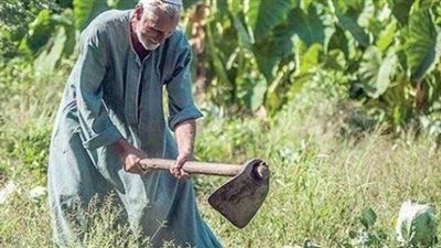 برلماني يطالب بتفعيل «الكارت الذكي للفلاح»: «سيقضي على الفساد»