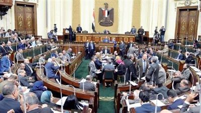 بعد تأخير اللائحة التنفيذية.. خالد حنفي يكشف السبب و«سما رامي» تُطالب بتغيير القانون