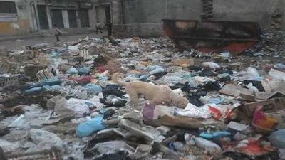 خبير تنمية محلية يضع روشتة مشكلة القمامة