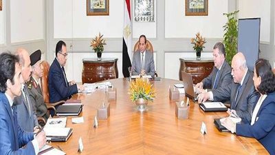 السيسي يلتقي هشام توفيق لبحث تطوير شركات القطاع وسبل النهوض بها