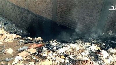 «نظافة الجيزة» : حملات أسبوعية على هضبة حدائق الأهرام لجمع القمامة (فيديو)