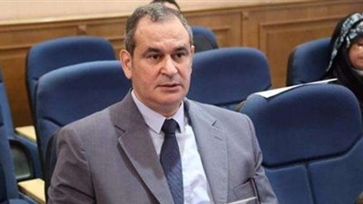 برلماني: مشروعات الطرق بمثابة شرايين حياة جديدة للدولة