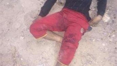 بالصور.. الأجهزة الأمنية تنجح في تصفية 11 إرهابيًا