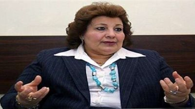 «عازر»: القضاء لا يتأثر بمهاترات المنظمات الحقوقية المشبوهة