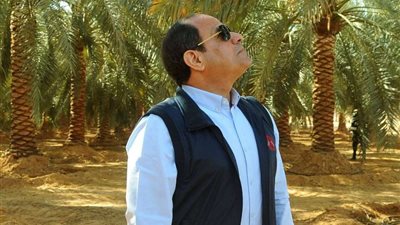 عزمي مجاهد: الرئيس يدرك القيمة الحقيقية لأمهات المقاتلين والشهداء