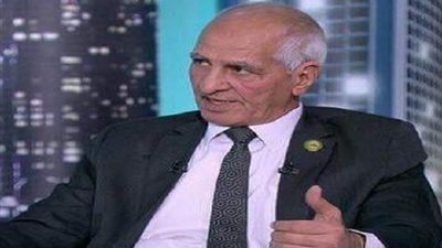 نائب وفدى: مئوية ثورة 1919 حدثاً عالمياً