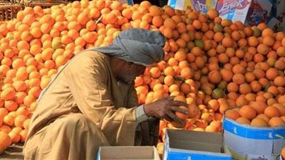 ”البورصة السلعية للفاكهة” استراتيجية جديدة للقضاء على جشع التجار