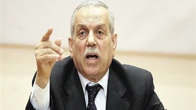 رئيس الدستورية الأسبق:  تخصيص ربع مقاعد البرلمان للمرأة 