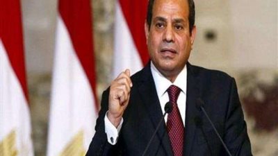 برلمانية: السيسي يفي بوعده في مكافحة ”فيروس سي” قبل نهاية العام