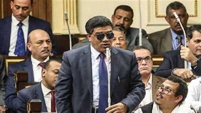 «برلمانى»: يطالب باستمرار حصانة القاضي بعد بلوغه سن المعاش