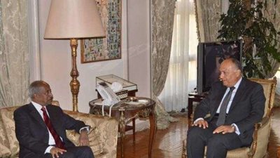 دبلوماسي سابق يكشف أسباب زيارة سامح شكري لـ أريتريا