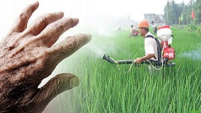 رغم غسلها.. 5 أطعمة تلتصق بها المبيدات الحشرية