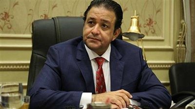 برلماني: التحفظ على أموال الإخوان «قرار تاريخي»