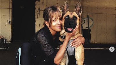 ​هالي بيري​ تواصل تصوير « John Wick»