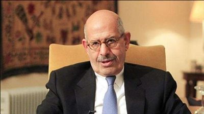 بلاغ ضد «البرادعى» يتهمه التدخل في أحكام القضاء ونشر أخبار كاذبة