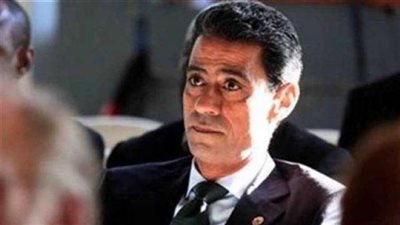 برلماني: إشادة الرئيس الإريتري بمصر دليل على دور القاهرة التاريخي تجاه إفريقيا