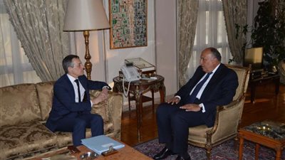 وزير الخارجية يبحث مع نظيره السويسرى تعزيز العلاقات الثنائية