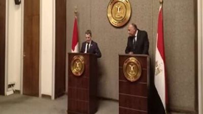 وزير الخارجية السويسرى: سندعم التعاون الدولى مع مصر خلال الفترة المقبلة