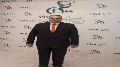 عمرو عبدالباقي: الاحتفال بذكري ثورة 1919 ملكاً لكل المصريين