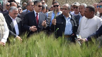 محافظ بنى سويف ووزير الزراعة يتفقدان أحد الحقول الإرشادية بإهناسيا