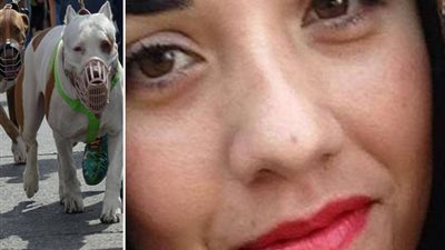 في حادث مآساوي.. مصرع فتاة على يد كلبيها من فصيلة بيتبول